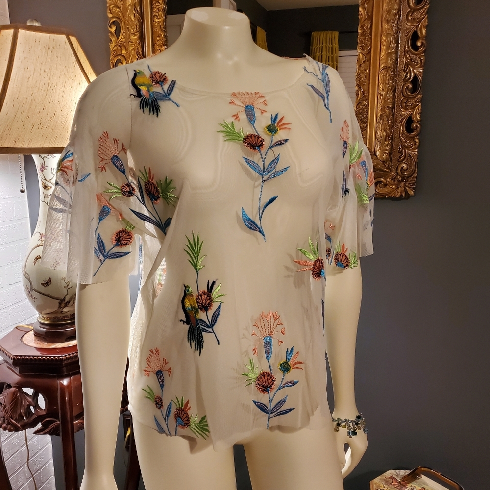 Sheer Top